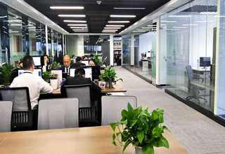 高清柔性显示屏