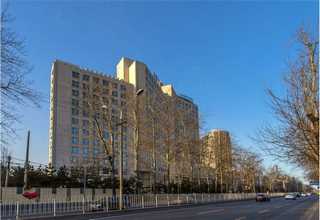 宁波全自动无纺布制袋机供应