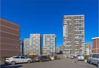 崇明区绿萝哪家好