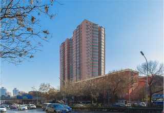 经济开发区多色系绿植租摆中心