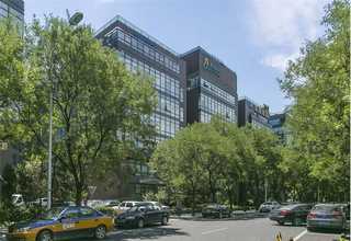 南京夏季植物出租批发