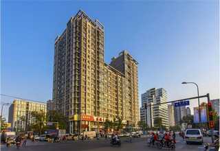 隆德黄花菜忘忧草